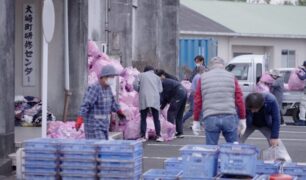 Innovaciones sostenibles, productos nacidos de la industria del reciclaje
